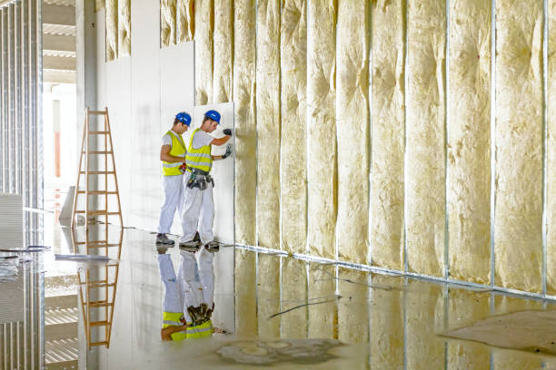 Insulation Repair Services in Portage, MI